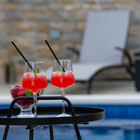 Stone Didovi Snovi With Heated Pool Βίλα Lisane Ostrovicke